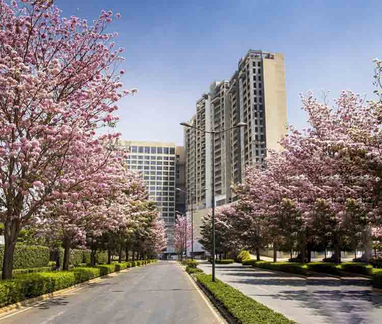 Nikoo Garden Estates