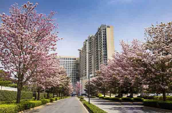 Nikoo Garden Estates